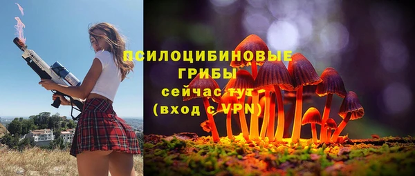 спиды Белокуриха
