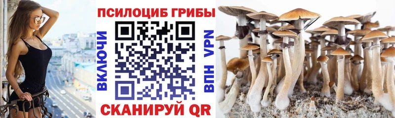 Псилоцибиновые грибы ЛСД blacksprut сайт Окуловка